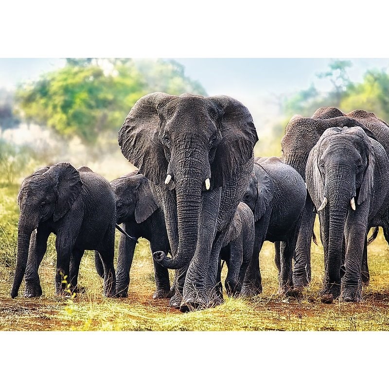 Trefl Puzzle Africké slony, 1000 dielikov